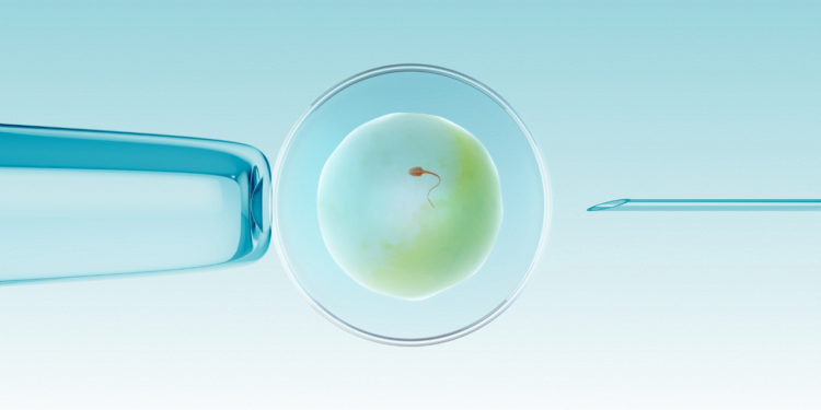 What Religions Opposing In Vitro Fertilization (IVF)