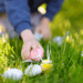 The Biblical Perspective on Celebrating Easter
