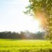 A Beautiful Morning Prayer to Welcome God’s Daily Blessings