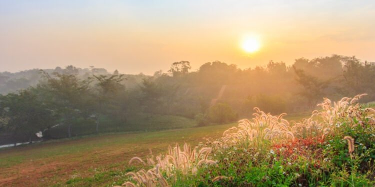 A Morning Prayer for Professional Growth and Success at Work (1)