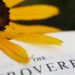 Evening Prayer for a Heart Overflowing With Gratitude
