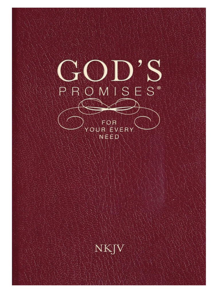 5 Scriptures to Remind You God Is With You