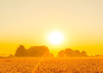 Morning Prayer for a Fresh Start
