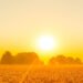 Morning Prayer for a Fresh Start